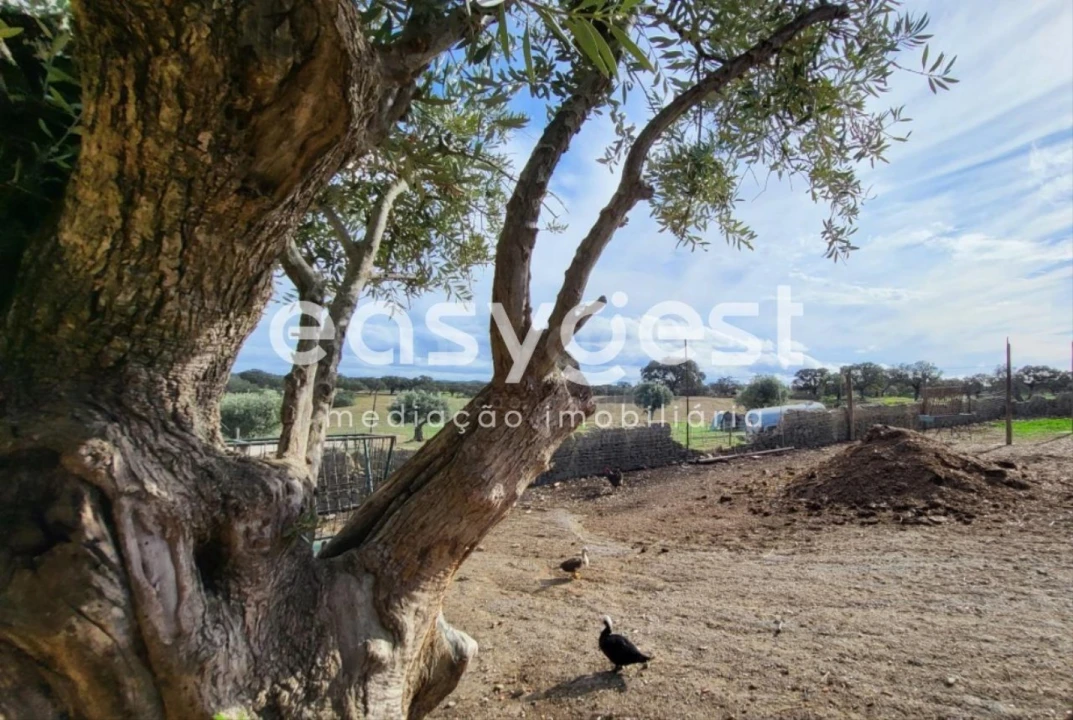 Quinta T2 para Venda em Ourique Foto 39