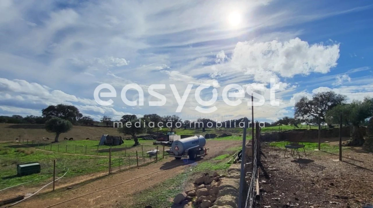 Quinta T2 para Venda em Ourique Foto 40