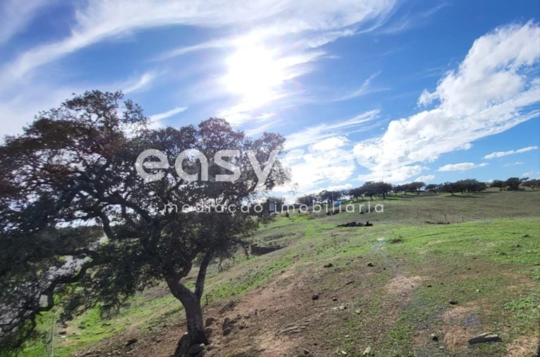 Quinta T2 para Venda em Ourique Foto 26