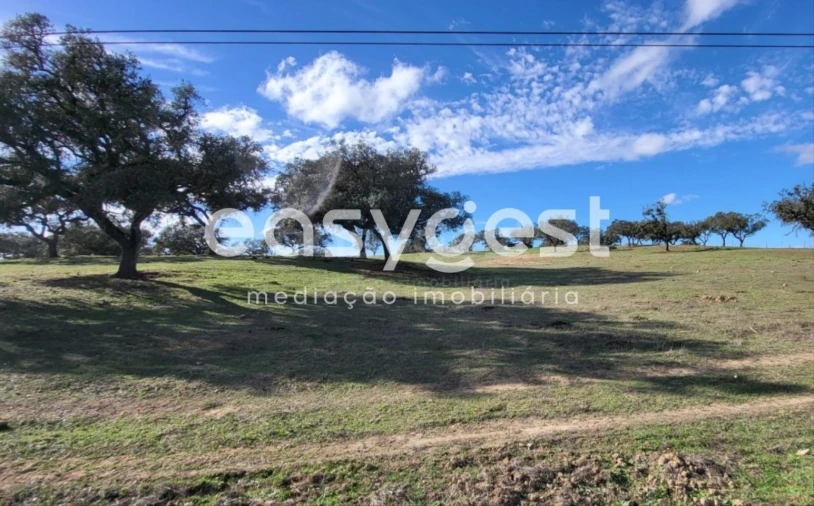 Quinta T2 para Venda em Ourique Foto 1