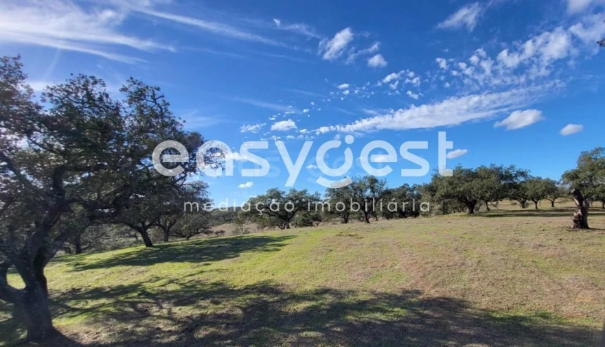 Quinta T2 para Venda em Ourique Foto 32