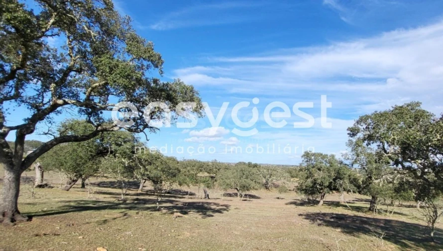 Quinta T2 para Venda em Ourique Foto 35