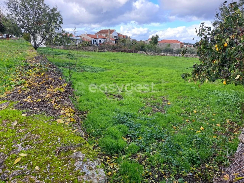 Moradia T6 para Venda em Carviçais Foto 4