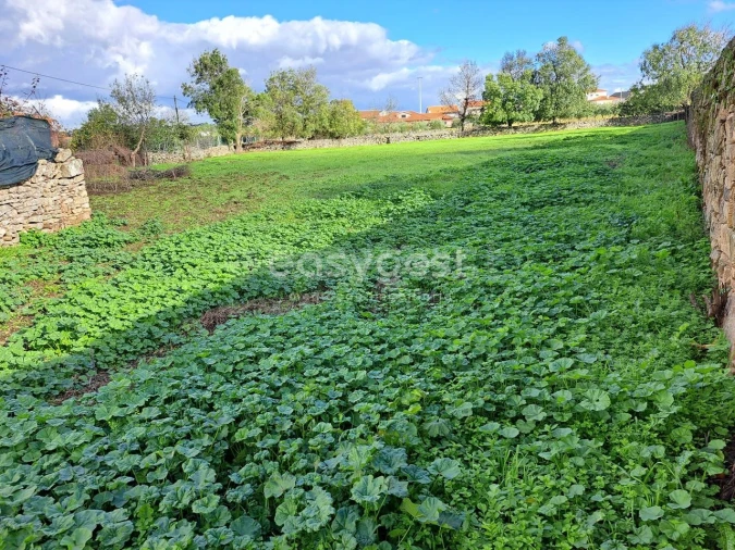 Moradia T6 para Venda em Carviçais Foto 3