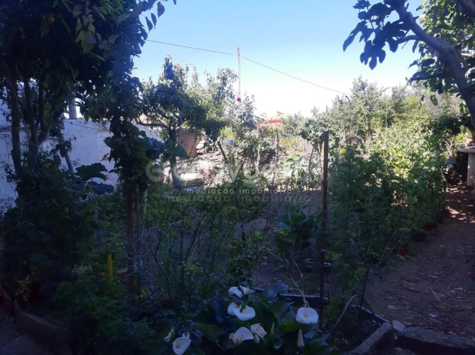 Moradia T6 para Venda em Carviçais Foto 6