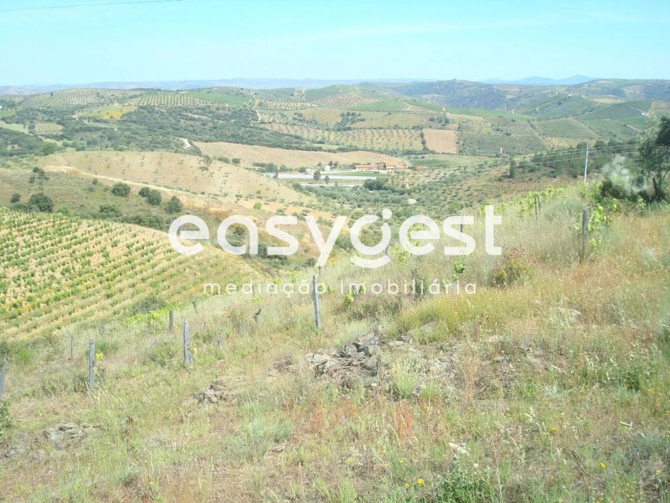 Terreno Agricola ou Rústico para Venda em Longroiva Foto 1