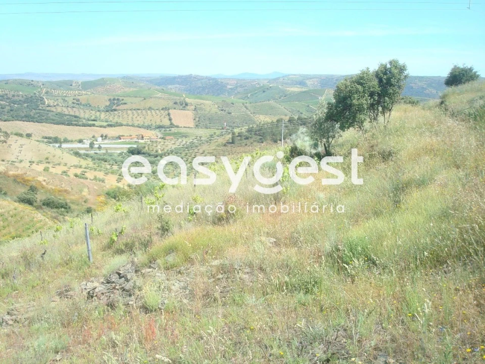 Terreno Agricola ou Rústico para Venda em Longroiva Foto 2