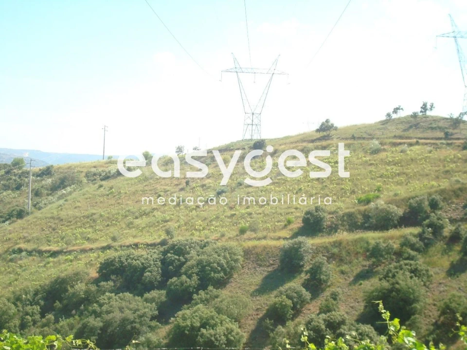 Terreno Agricola ou Rústico para Venda em Longroiva Foto 7
