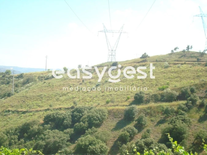 Terreno Agricola ou Rústico para Venda em Longroiva Foto 7