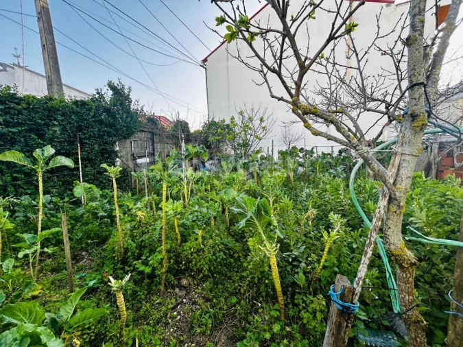 Terreno para Venda em Camarate, Unhos e Apelação Foto 21