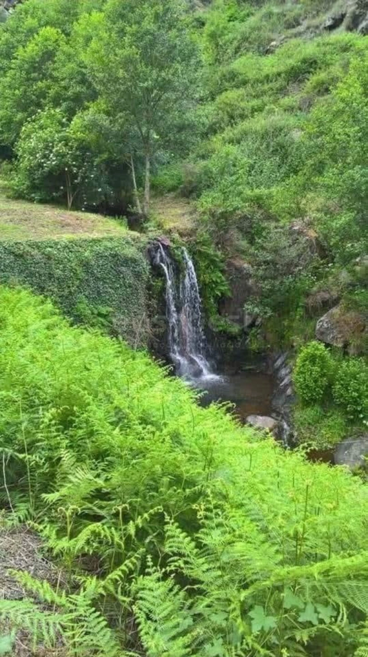Quinta T4 para Venda em Carviçais Foto 2