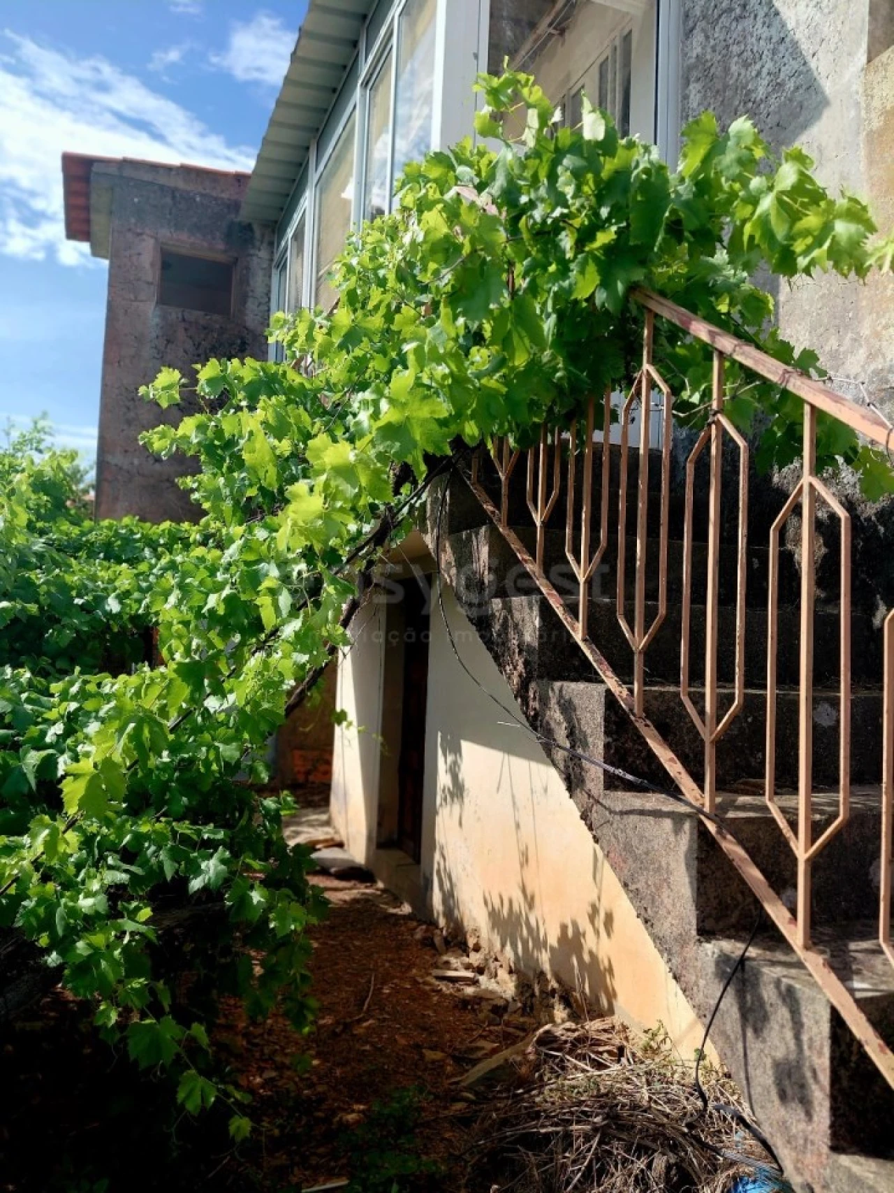 Quinta T4 para Venda em Carviçais Foto 7