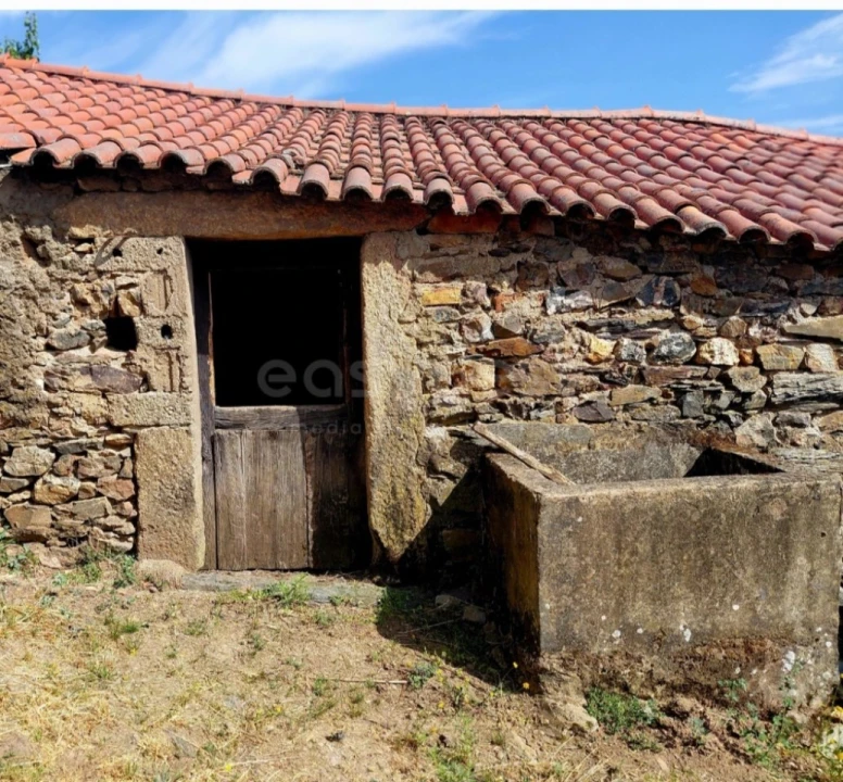 Quinta T4 para Venda em Carviçais Foto 12