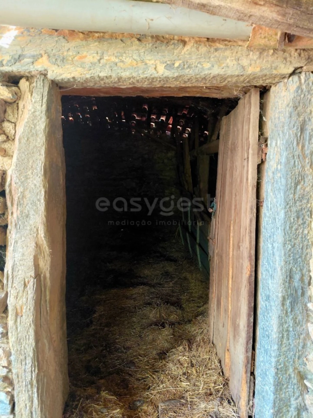 Quinta T4 para Venda em Carviçais Foto 14