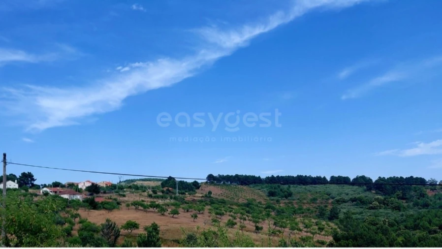 Quinta T4 para Venda em Carviçais Foto 3