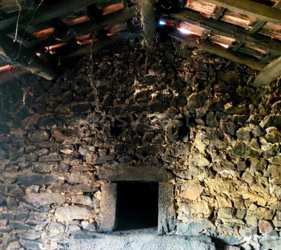 Quinta T4 para Venda em Carviçais Foto 13