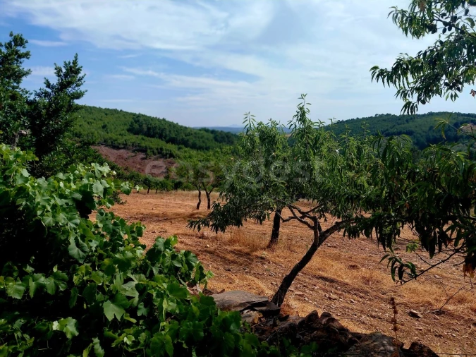 Quinta T4 para Venda em Carviçais Foto 15
