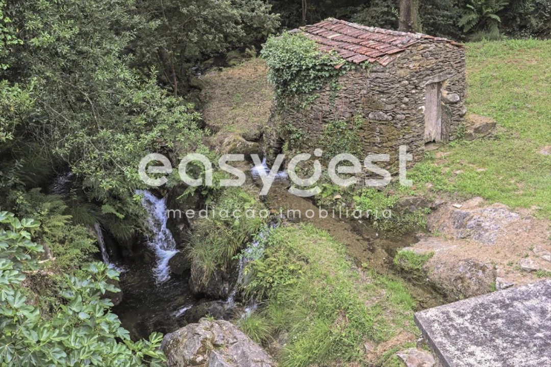 Terreno para Venda em Albergaria-A-Velha e Valmaior Foto 6