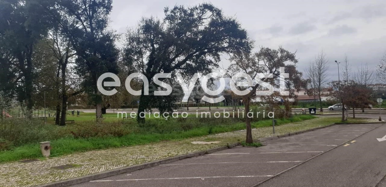 Terreno para Venda em Albergaria-A-Velha e Valmaior Foto 11