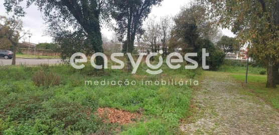 Terreno para Venda em Albergaria-A-Velha e Valmaior