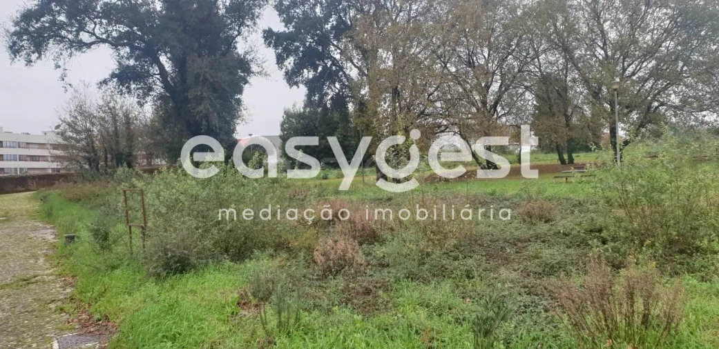 Terreno para Venda em Albergaria-A-Velha e Valmaior Foto 8