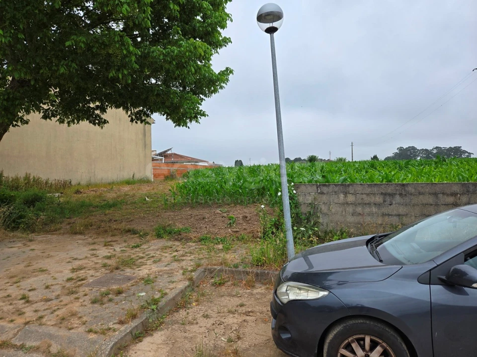 Terreno para Venda em Oliveirinha Foto 3
