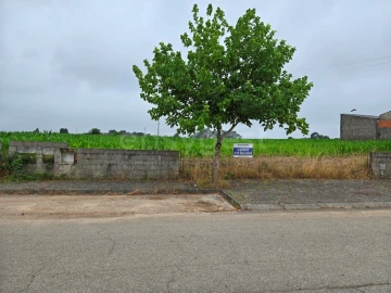 Terreno para Venda em Oliveirinha