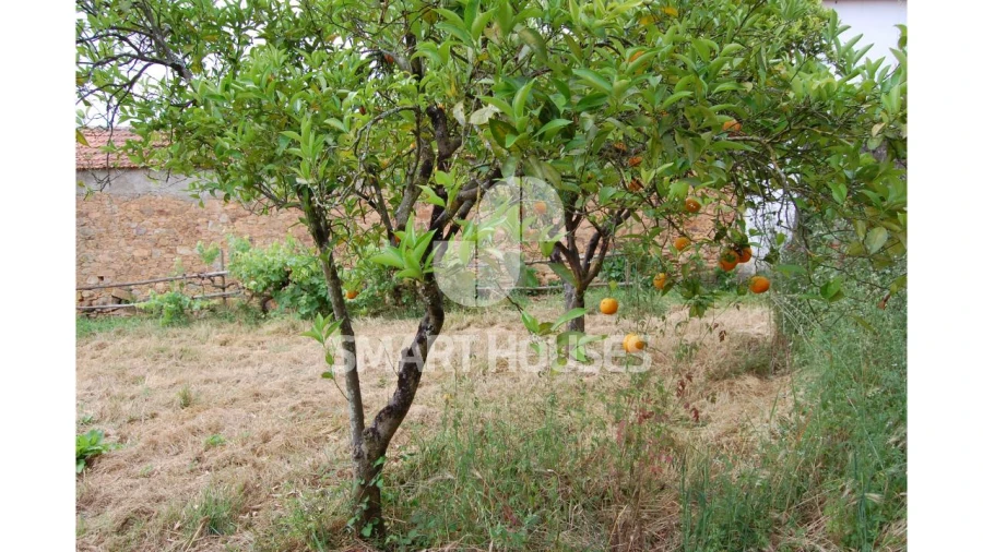 Moradia T2 para Venda em Ázere e Covelo Foto 27
