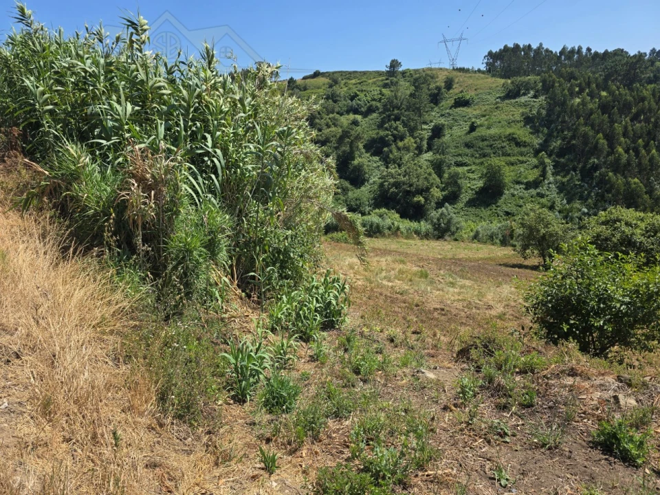 Terreno para Venda em Maxial e Monte Redondo Foto 2