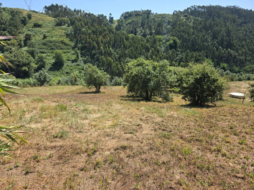 Terreno para Venda em Maxial e Monte Redondo Foto 4