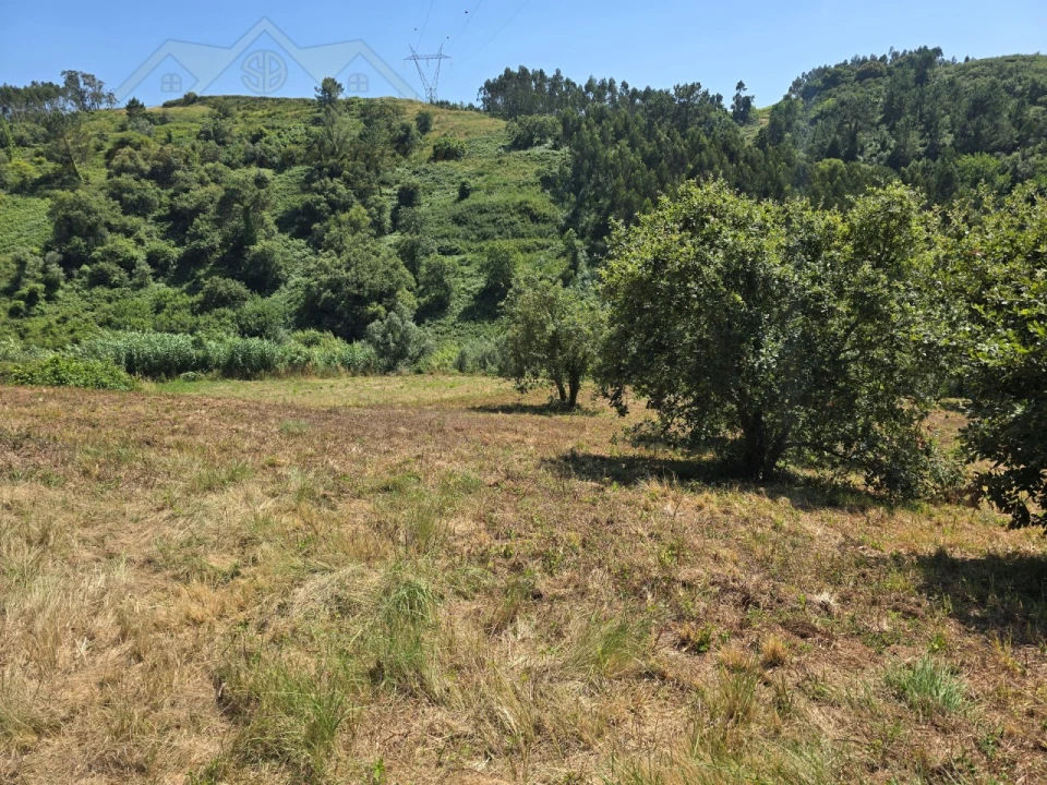 Terreno para Venda em Maxial e Monte Redondo Foto 9