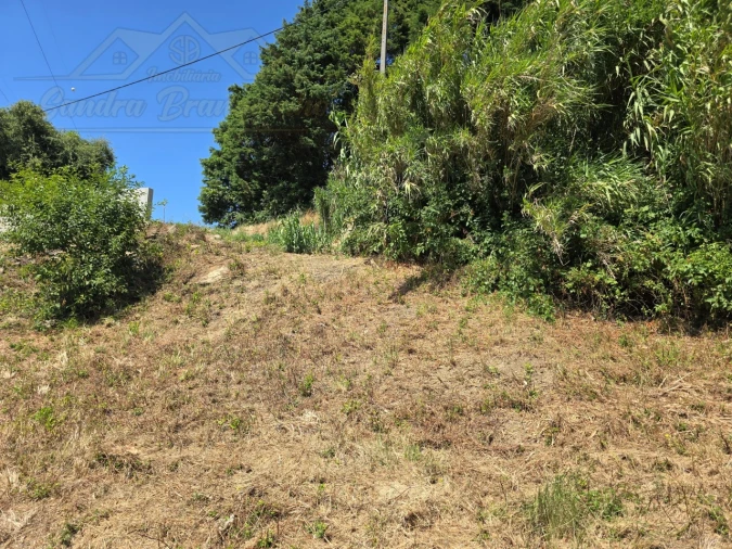 Terreno para Venda em Maxial e Monte Redondo Foto 5