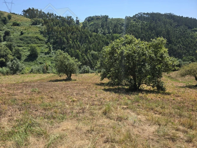 Terreno para Venda em Maxial e Monte Redondo Foto 6