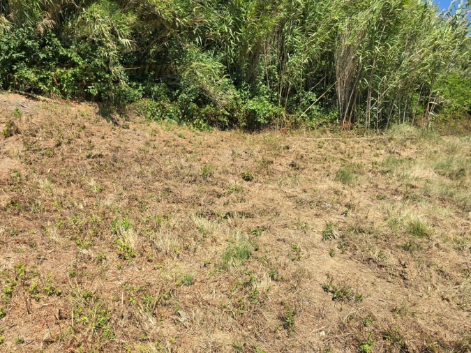 Terreno para Venda em Maxial e Monte Redondo Foto 8