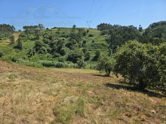 Terreno para Venda em Maxial e Monte Redondo Foto 10