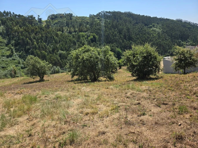 Terreno para Venda em Maxial e Monte Redondo Foto 11