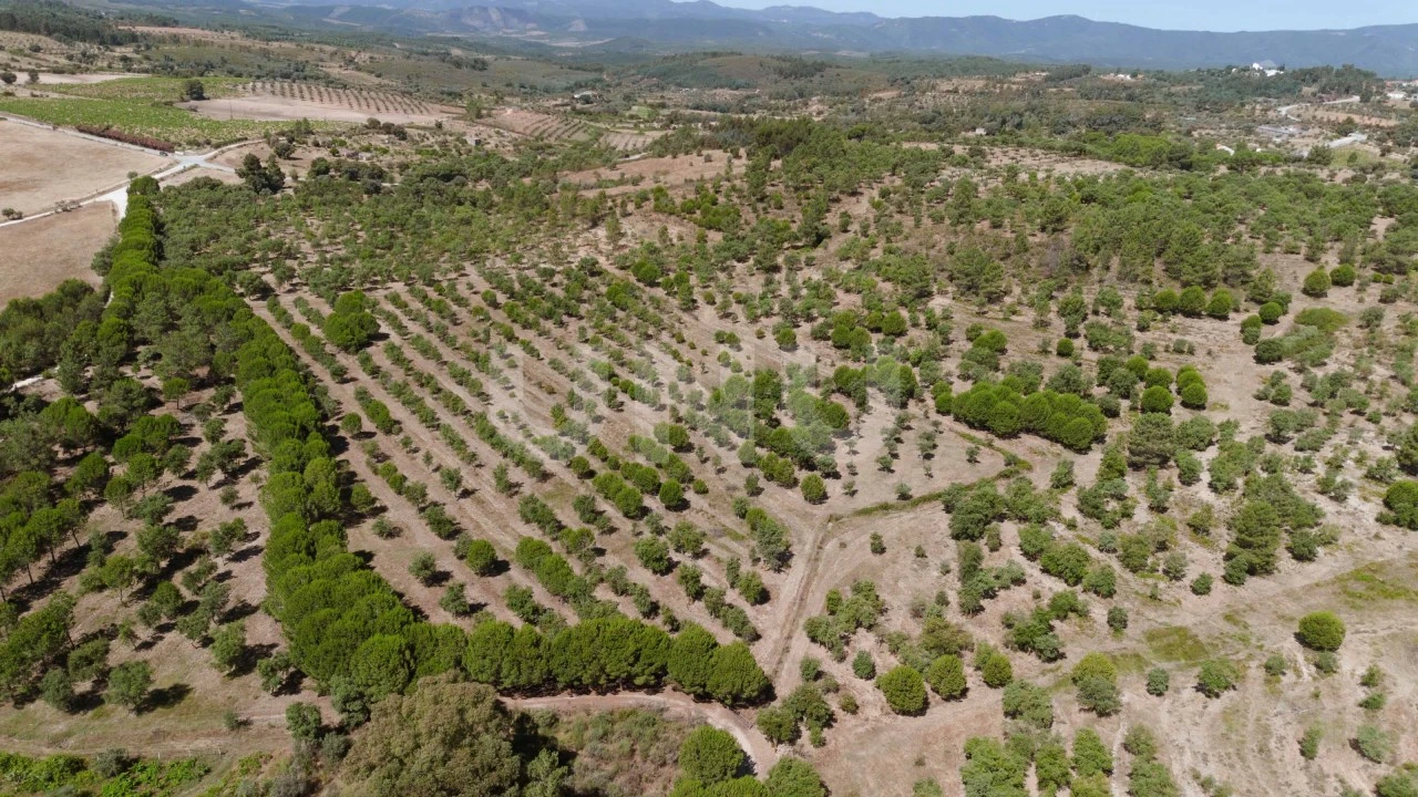 Quinta T4 para Venda em Ninho do Açor e Sobral do Campo Foto 1