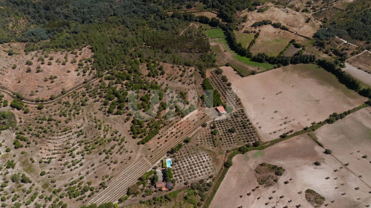 Quinta T4 para Venda em Ninho do Açor e Sobral do Campo Foto 4