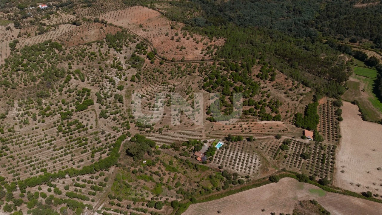 Quinta T4 para Venda em Ninho do Açor e Sobral do Campo Foto 32