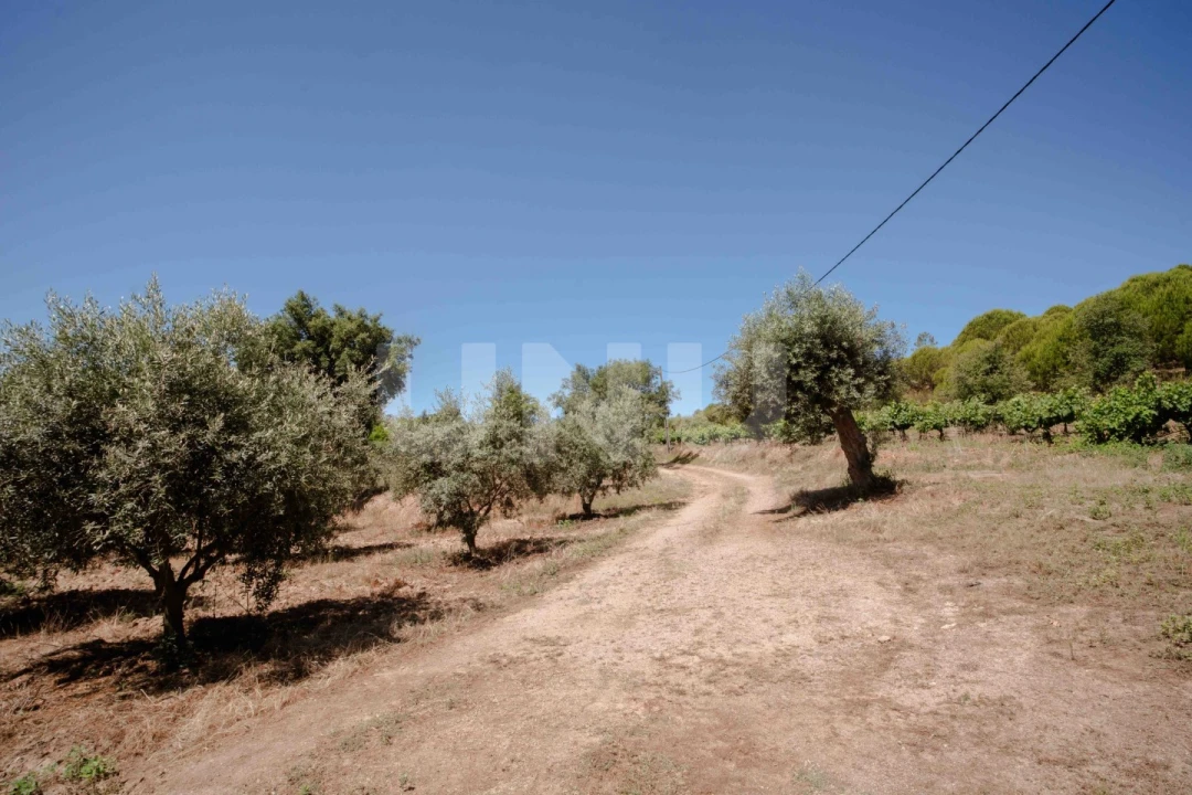 Quinta T4 para Venda em Ninho do Açor e Sobral do Campo Foto 31