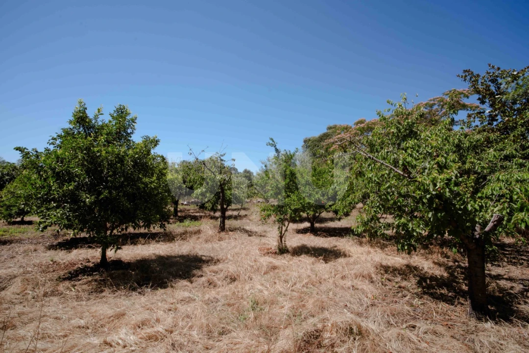 Quinta T4 para Venda em Ninho do Açor e Sobral do Campo Foto 30