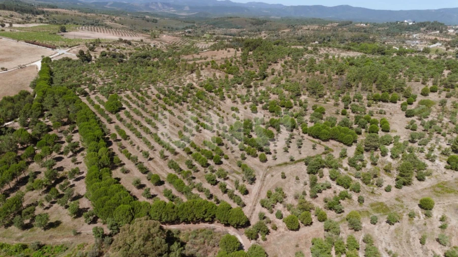 Quinta T4 para Venda em Ninho do Açor e Sobral do Campo Foto 1
