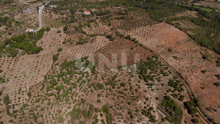 Quinta T4 para Venda em Ninho do Açor e Sobral do Campo Foto 34