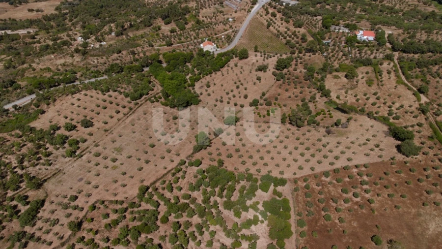 Quinta T4 para Venda em Ninho do Açor e Sobral do Campo Foto 33