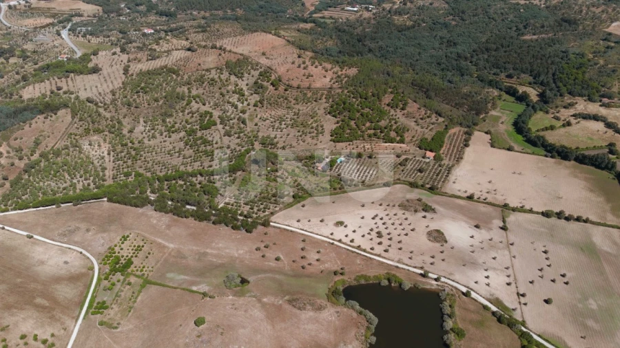 Quinta T4 para Venda em Ninho do Açor e Sobral do Campo Foto 35