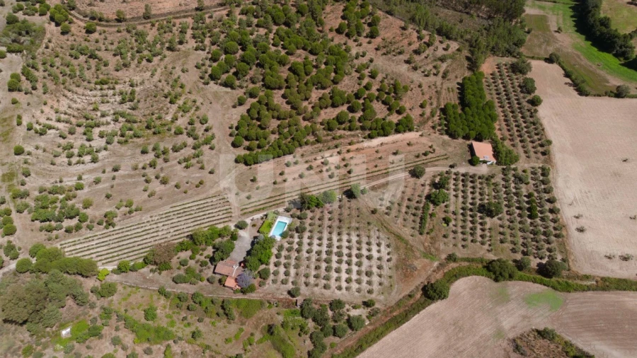 Quinta T4 para Venda em Ninho do Açor e Sobral do Campo Foto 2