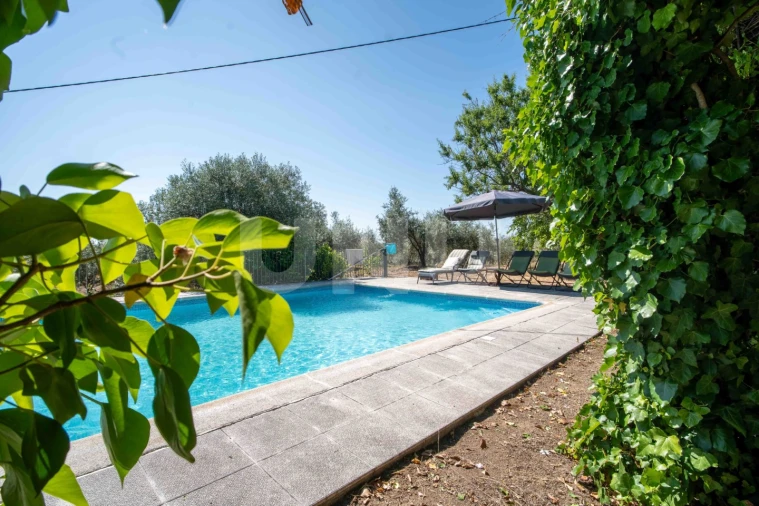 Quinta T4 para Venda em Ninho do Açor e Sobral do Campo Foto 26