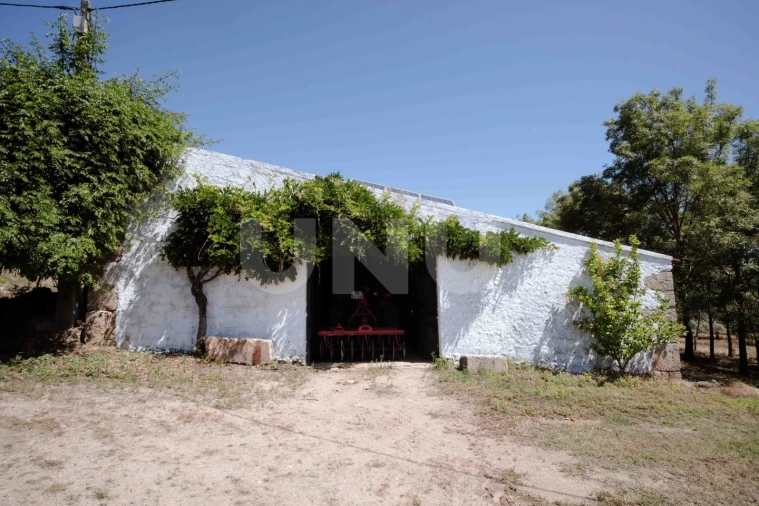 Quinta T4 para Venda em Ninho do Açor e Sobral do Campo Foto 27