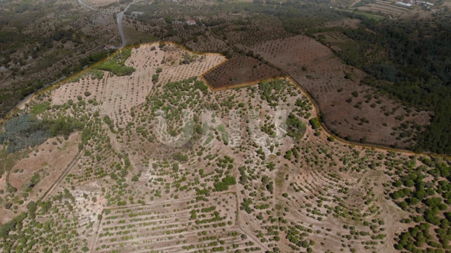 Quinta T4 para Venda em Ninho do Açor e Sobral do Campo Foto 36