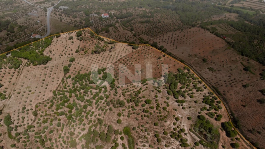 Quinta T4 para Venda em Ninho do Açor e Sobral do Campo Foto 37